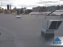 PROFIILPLEKIGA LAMEKATUS Kandva profiilplekiga lamekatus