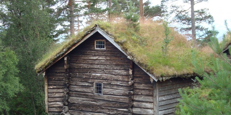 Katusekalle kalle