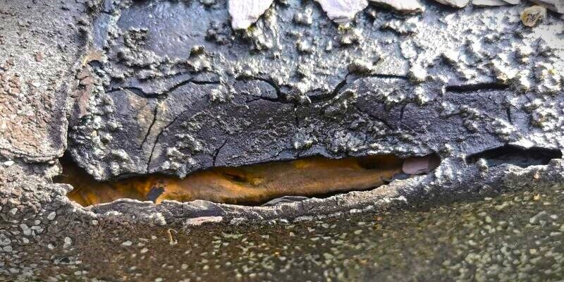 Igal hooajal vajalikud katusetööd