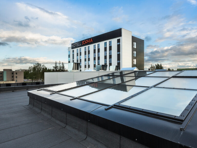 ERIKUJULISED KATUSEAKNAD LAMEKATUSEL. Erikujulised katuseaknad lamekatusel.