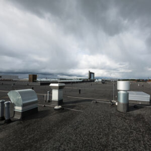 Lamekatuse l&auml;biviigud.