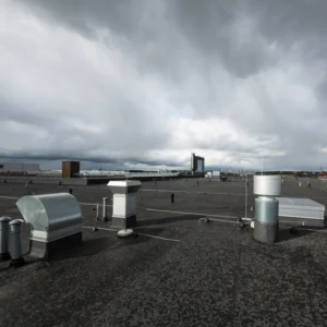 Lamekatuse l&auml;biviigud.