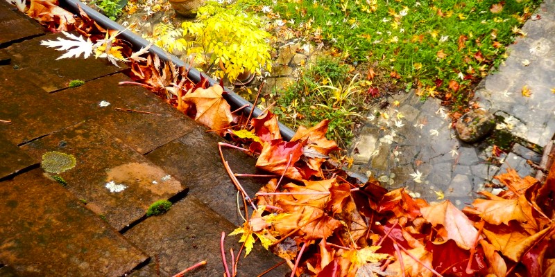 Katus enne külmade tulekut korda! 5 ohumärki, mida katuse puhul tähele panna