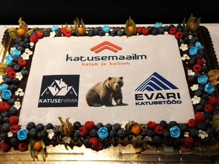 EVARI TOETATUD KOOLITUSED LÕPEVAD ALATI SUU MAGUSAKS TEGEVA ÜLLATUSEGA – TEINE TALLINNA ÕPPEPÄEVA SPONSORITE TORT OLI KAUNISTATUD PRUUNI KARU PILDIGA. Sponsorite tort pruuni karuga Lamekatusetarindi läbiviigud ja sõlmlahendused II osa koolitusel Tallinnas