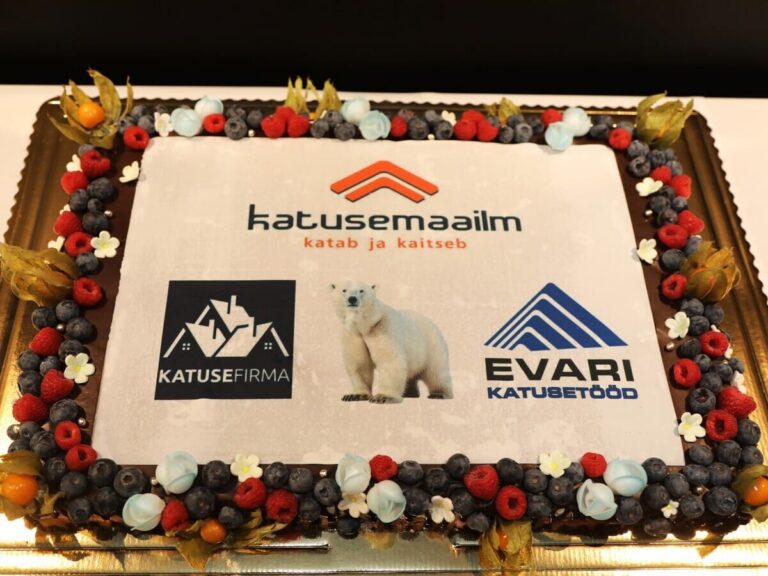 KOOLITUSE KOHVIPAUSIKS VALMINUD SPONSORITE TORT, MILLE KESKEL ILUTSEV VALGE KARU ON VAIMUKAS VIIDE LEKTOR ALO KARU NIMELE. Sponsorite tort valge karuga Lamekatusetarindi läbiviigud ja sõlmlahendused II osa koolitusel Tallinnas