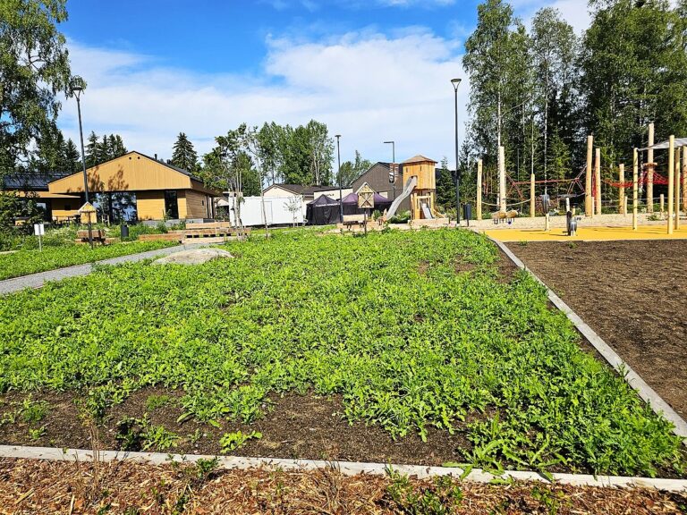 LÄBIMÕELDUD HALJASTUS JA ROHEALAD LEMPÄÄLÄ ELAMUMESSIL: SAIKKA LINNAOSA PLANEERIMISEL ON SUURT RÕHKU PANDUD LOODUSLÄHEDASELE NING KAASAEGSELE ELUKESKKONNALE Soome Elamumess Lempääläs 2026 – Saikka elamurajooni haljastus ja uued elamud messialal